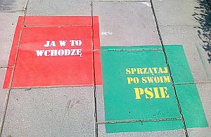 Kupa? Ja w to wchodzę