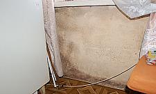 Mieszkanka: w łagrze było lepiej niż na Modlińskiej 101!