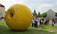 "MiniKopernik" zamiast boiska przy Powstańców