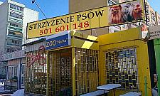 Psu nie można patrzeć prosto w oczy. Wyznania pani groomer.