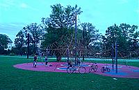 Doceniamy linarium w parku Henrykowskim, brakuje placu zabaw