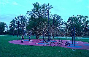 Doceniamy linarium w parku Henrykowskim, brakuje placu zabaw