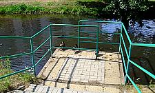 Zapuszczony Potok Bielański. Kto się wreszcie nim zajmie?