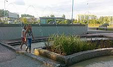 Skwer Ciechowskiego - rada dzielnicy uhonorwała artystę