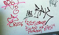 Graffiti - samczy zwyczaj na Bielanach?