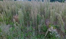 Będzie ulica pułkownika Kuklińskiego. Kiedy ją zbudują?