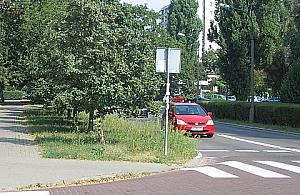 Poborzańska: winne krzewy czy głupota ludzka?