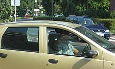 Poborzańska: winne krzewy czy głupota ludzka?