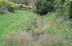 Ścieki w rowie Wólczyńskim, nikt się nie przyznaje