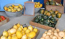 Majlertowie wciąż uprawiają. W Marcelinie od ponad 130 lat!