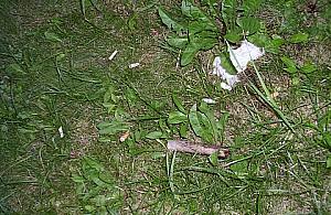 Pety, pampersy i butelki wyrzucane przez okna w blokowiskach