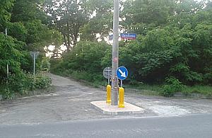 Polski drogowiec radzi sobie ze słupem kreatywnie!