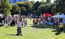 Piknik w parku Olszyna: można bawić się bez używek