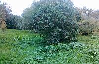 Będzie park Zielone Odolany! Z kościołem na Karlińskiego