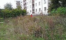 Znikające podwórka na Bemowie