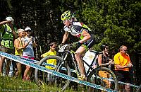 Wieliszew z trasą cross country