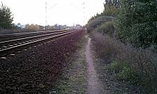 Dojście do stacji Zacisze-Wilno - ekstremalne przeżycie