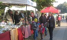 Dzień św. Franciszka i Lasu Bielańskiego w Dobrym Miejscu