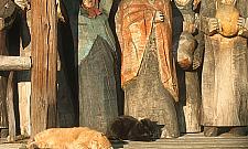 Dzień św. Franciszka i Lasu Bielańskiego w Dobrym Miejscu