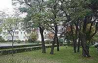 Konflikt w osiedlu Jagiellońska. Prezes: Ci mieszkańcy mnie nie obchodzą