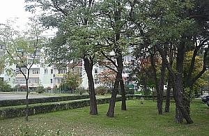 Konflikt w osiedlu Jagiellońska. Prezes: Ci mieszkańcy mnie nie obchodzą