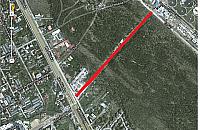 Zielone Mazowsze zablokowało budowę drogi technicznej do Czajki