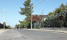 Zielone Mazowsze zablokowało budowę drogi technicznej do Czajki