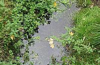 Kanał Zaborowski zaniedbany i groźny?