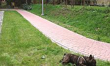 Osiedle Bemowo III: plusy nie przesłaniają nam minusów?