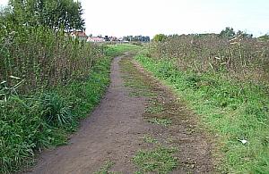 Sieczna i Kartograficzna: jeszcze nawet nie w planach