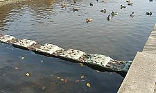 Grube tysiące kosztuje nas park, widać?