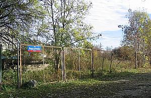 Na co Wola wyda przyszłoroczne pieniądze?