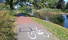 Bliskie spotkania rowerzystów z pieszymi na Kępie Potockiej