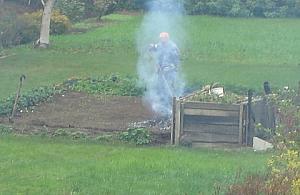 Palenie liści zabronione! Widać?