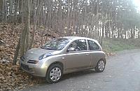 Drzewo na Pomorskiej jako hamulec awaryjny