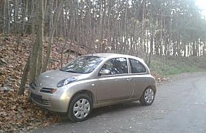 Drzewo na Pomorskiej jako hamulec awaryjny