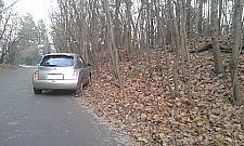 Drzewo na Pomorskiej jako hamulec awaryjny