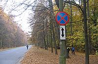 Chodnik przy Dewajtis: dobry pomysł? Na pewno drogi