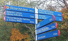 Chodnik przy Dewajtis: dobry pomysł? Na pewno drogi