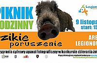 "Dzikie poruszenie" przeniesione