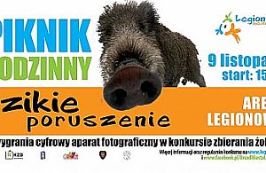 "Dzikie poruszenie" przeniesione