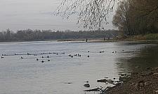 Deptak nad Wisłą - spacer, jogging, rower?