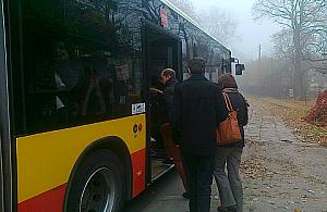 Tłok w 105, ZTM: pomiary tego nie wykazują