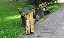 Park Wiecha znów ma być żywy, ale bez toalet