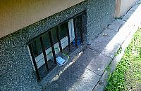 Na Chomiczówce drą koty o koty