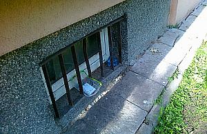 Na Chomiczówce drą koty o koty