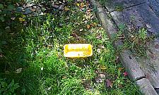 Na Chomiczówce drą koty o koty