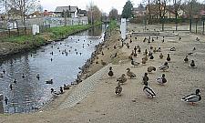 Nie będzie zbiornika na Husarskiej?