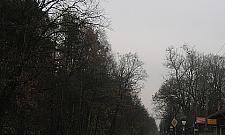 Narkotyki w Marysinie i bezradni radni