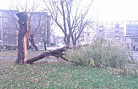 Serwis 19115 na razie dzia�a s�abo